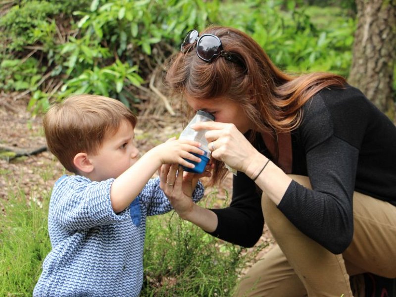 Could you be a Volunteer Nature Tots Group Assistant